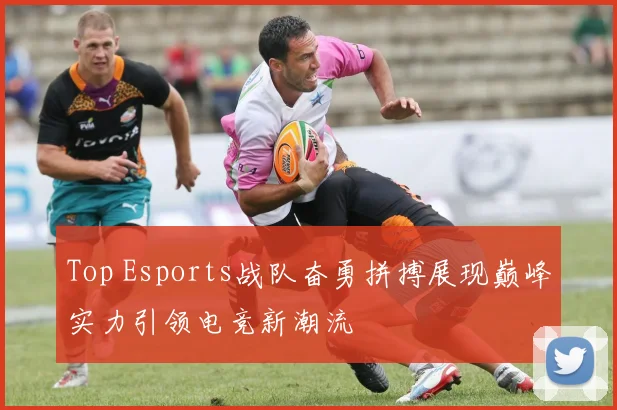 Top Esports战队奋勇拼搏展现巅峰实力引领电竞新潮流