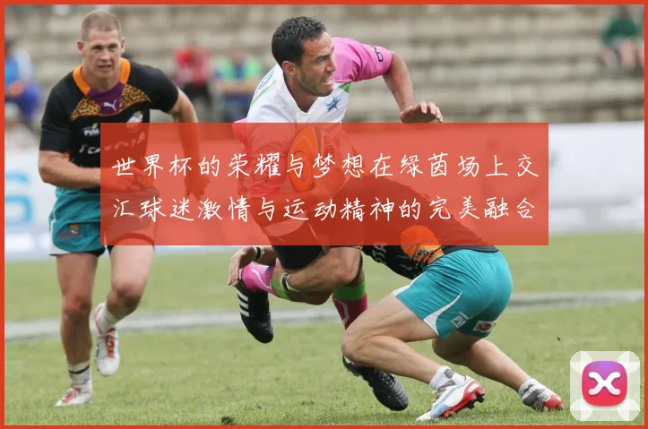 世界杯的荣耀与梦想在绿茵场上交汇球迷激情与运动精神的完美融合