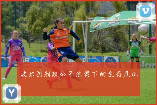 波尔图财政公平法案下的生存危机
