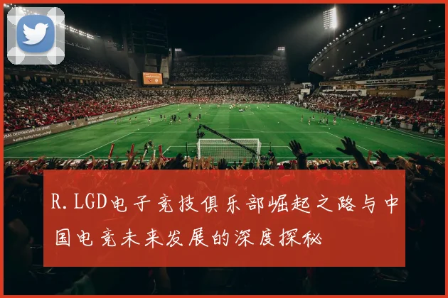 R.LGD电子竞技俱乐部崛起之路与中国电竞未来发展的深度探秘
