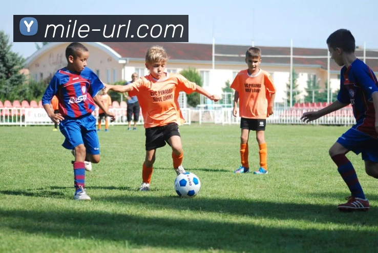 多媒体互动体验